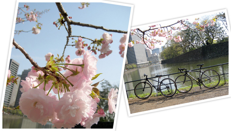 皇居まで自転車散歩。