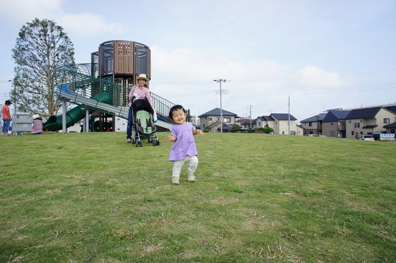 芝生と滑り台。