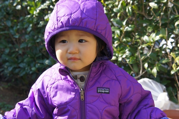 2011年、新年あけましておめでとうございます。
