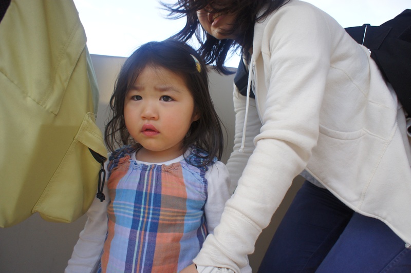 子供とハワイ旅行記(2日目)～ホノルル空港到着