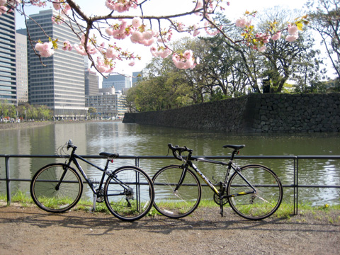 bike01.jpg